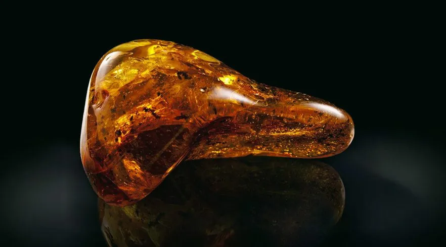 Desvendando o âmbar: sua história no mundo e na perfumaria