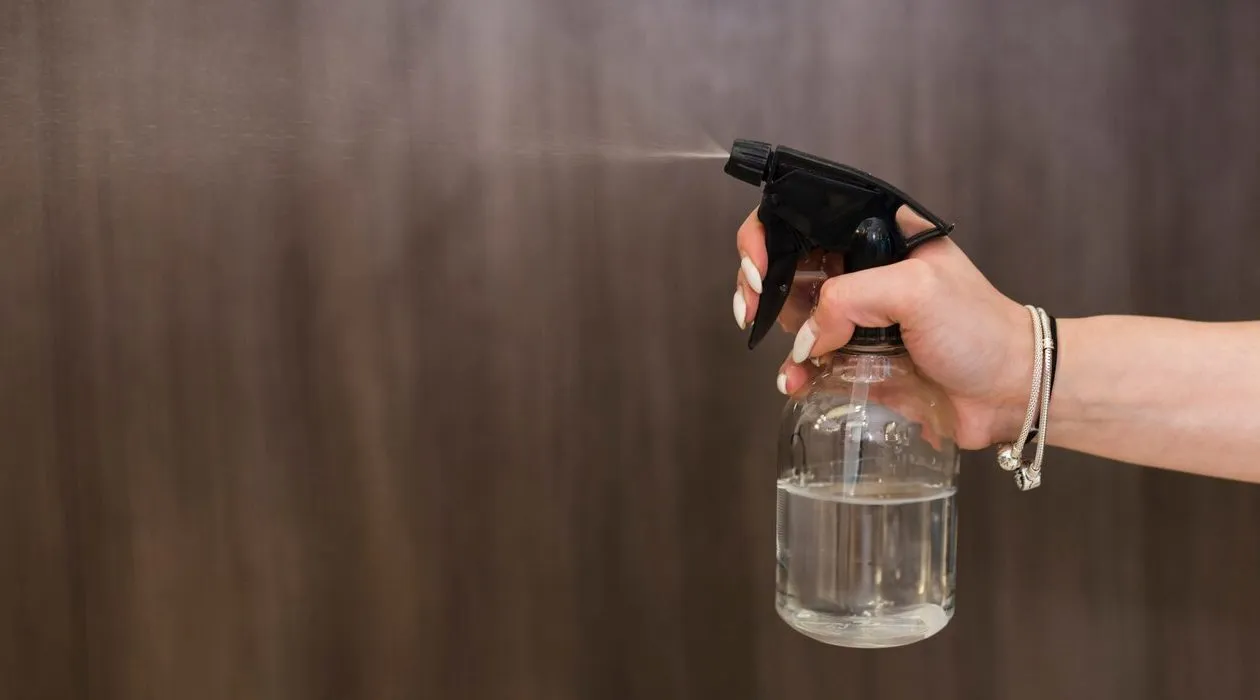Home spray: métodos de aplicação, cuidados ao usar e como escolher a fragrância ideal