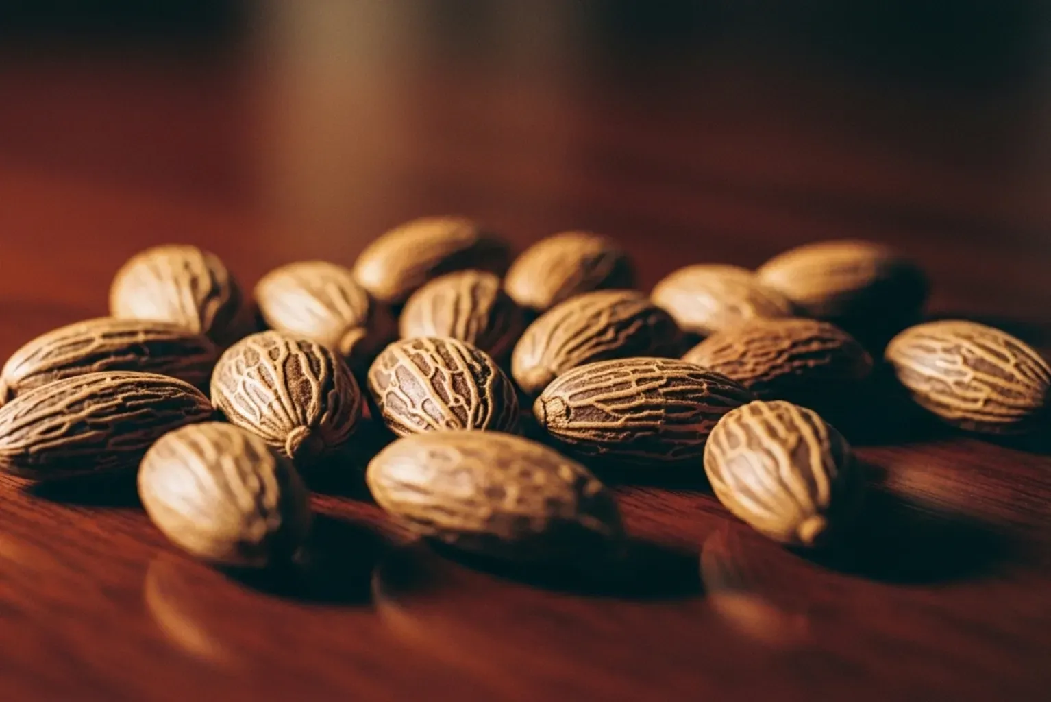 Fava Tonka: o segredo das fragrâncias mais elegantes em São Paulo