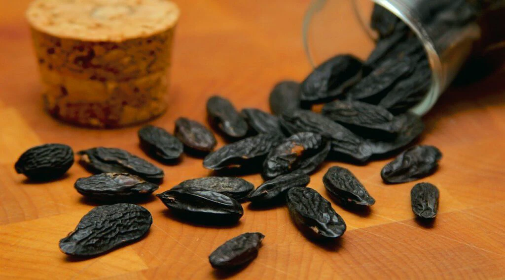 Sementes de fava tonka, ingrediente olfativo usado na perfumaria