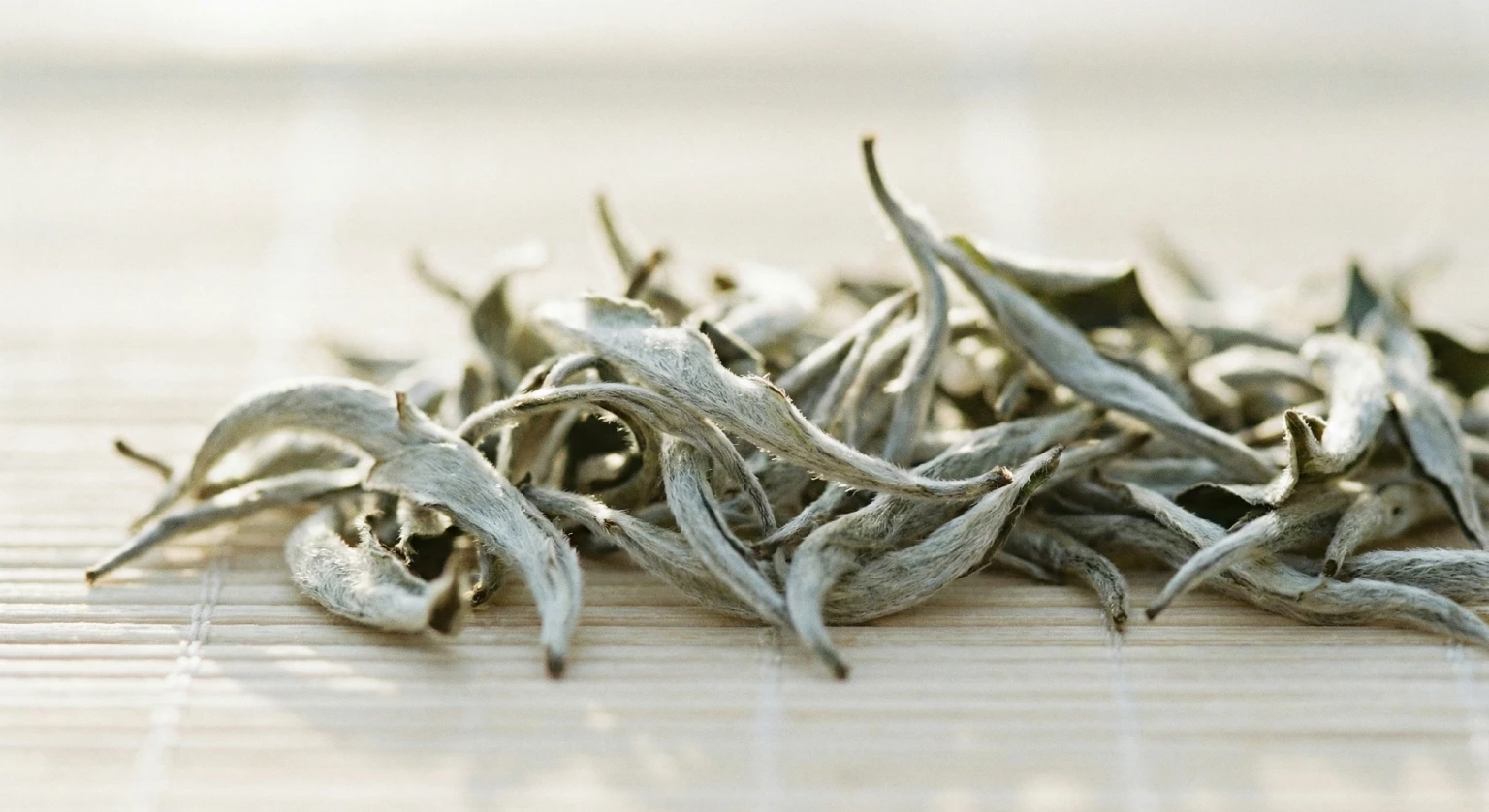 Folhas de chá branco destacando leveza e pureza associadas ao cheiro cristalino.