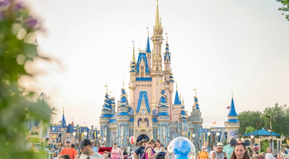 Capa - Sistema Disney